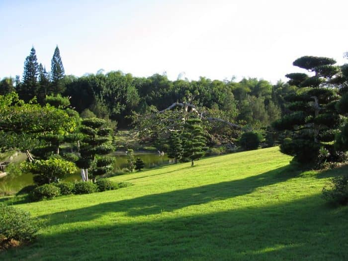 Национальный ботанический сад в Доминиканской Республике